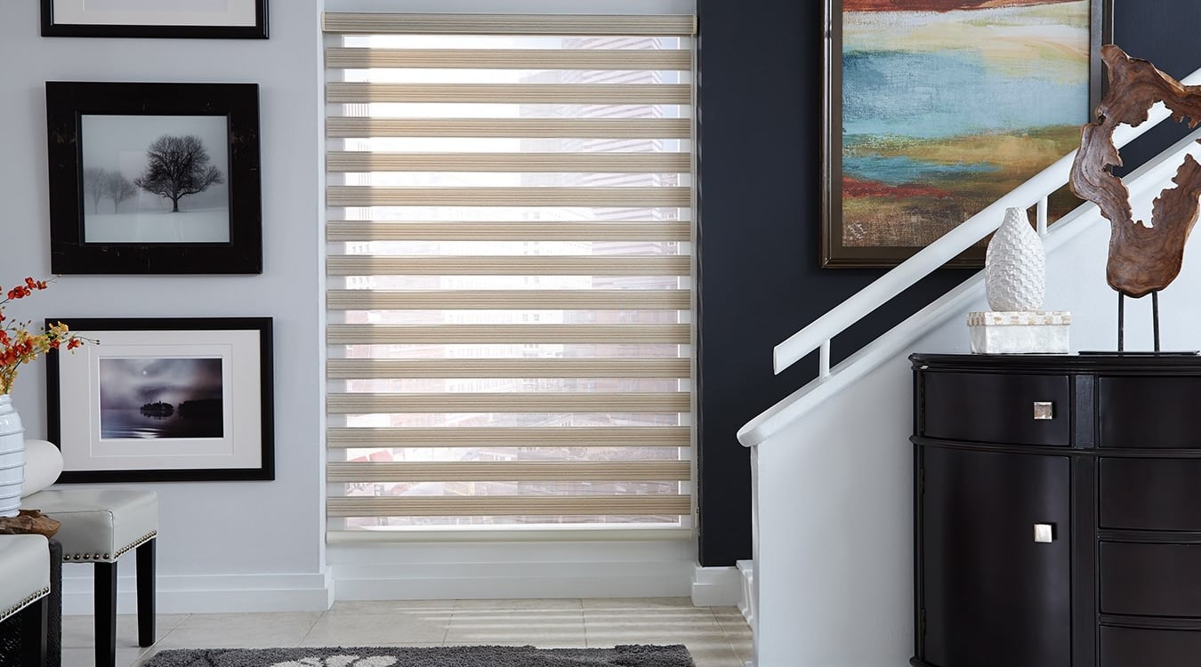 Zebra shades window treatments